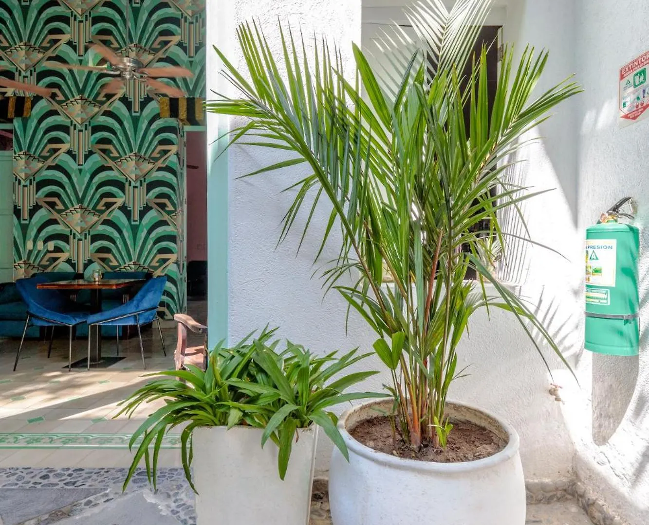 ****  Casa Verde Hotel Santa Marta  Colombia