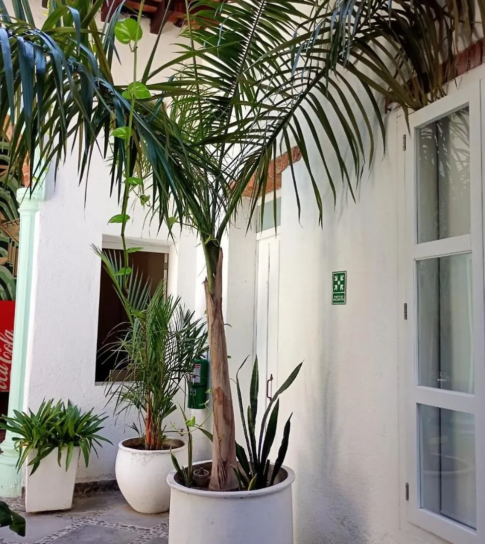 Casa Verde Hotel Santa Marta   Santa Marta (Magdalena)