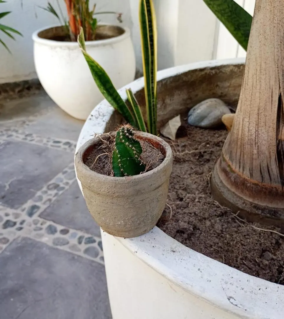Casa Verde Hotel Santa Marta